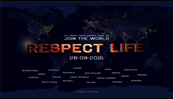 repect life